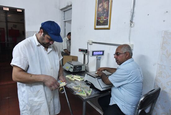 Dairy plant in Homs