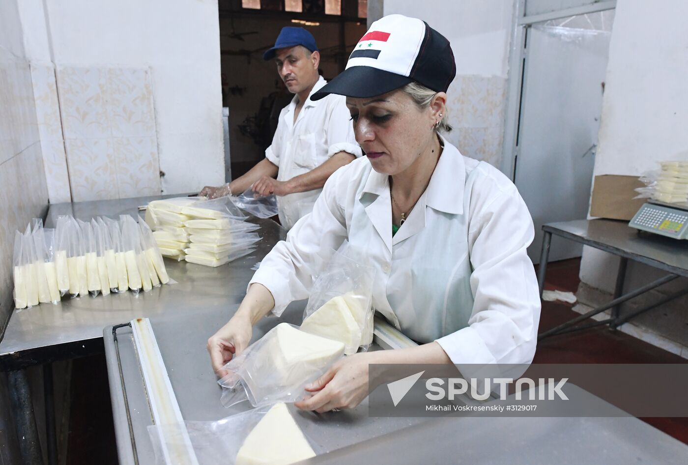 Dairy plant in Homs