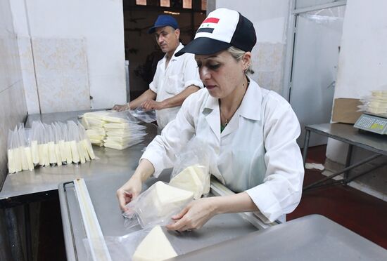 Dairy plant in Homs