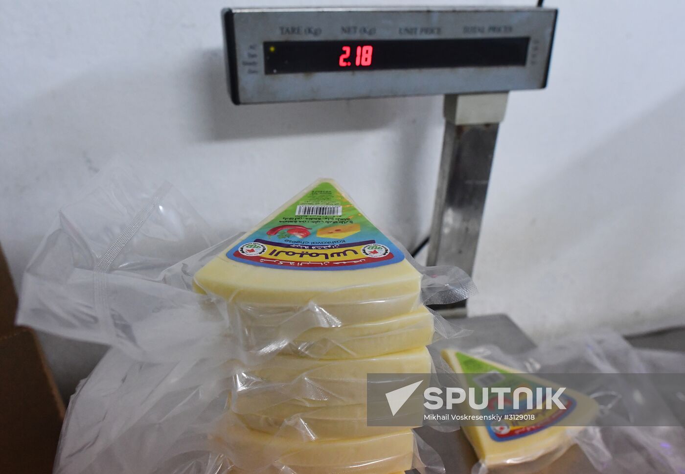 Dairy plant in Homs