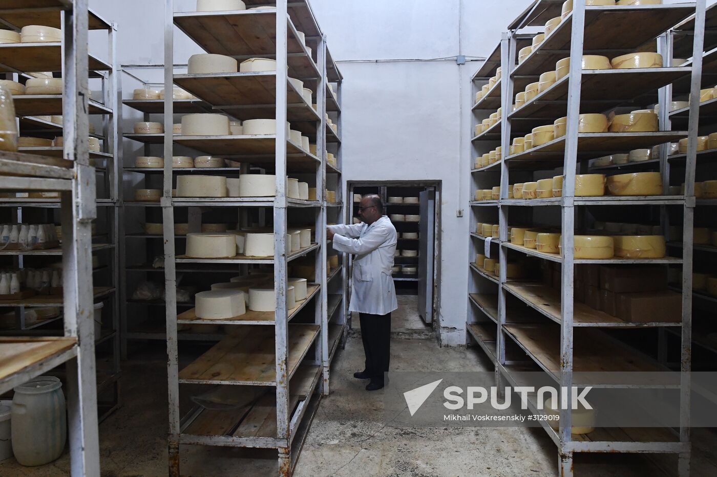 Dairy plant in Homs