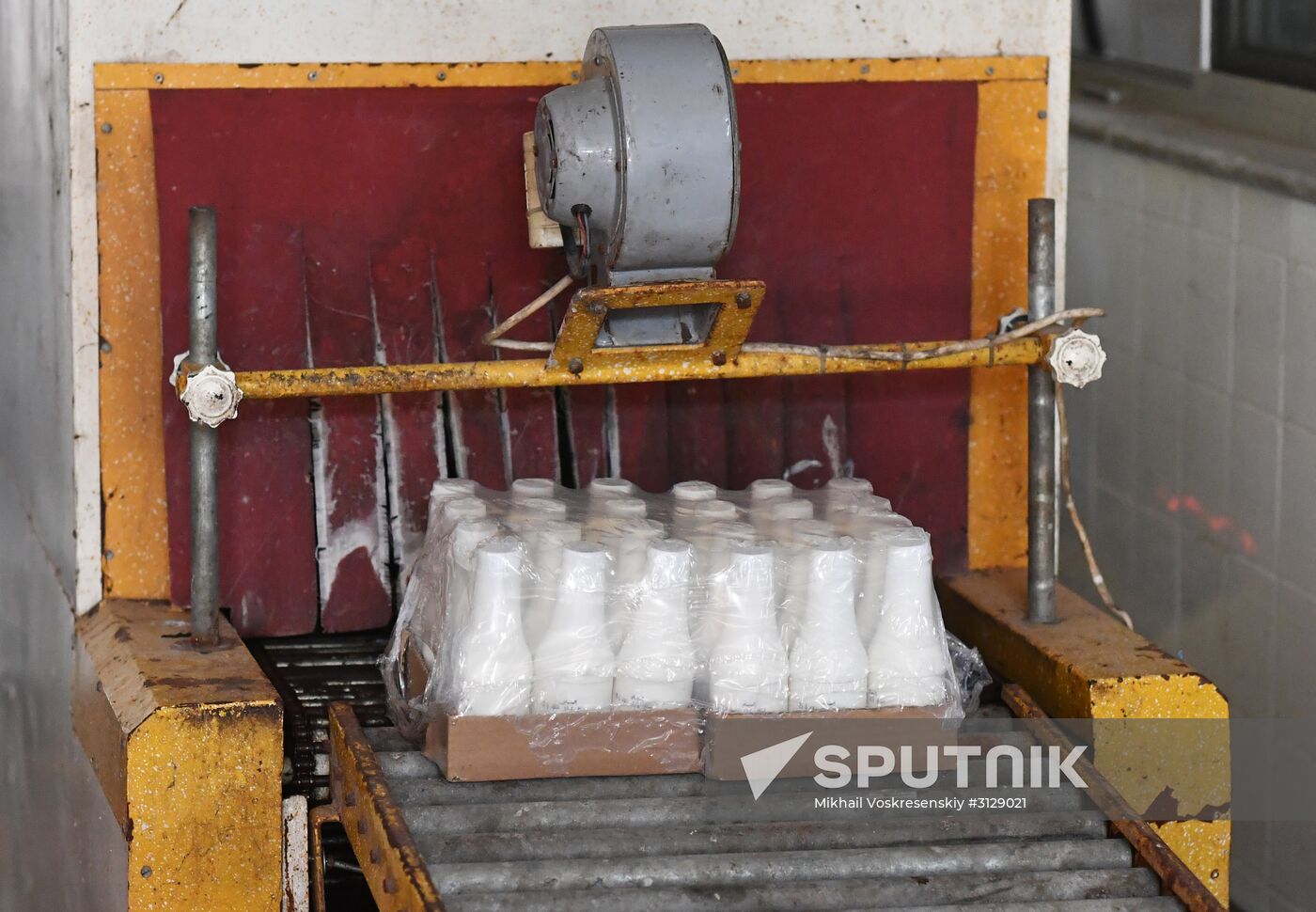 Dairy plant in Homs