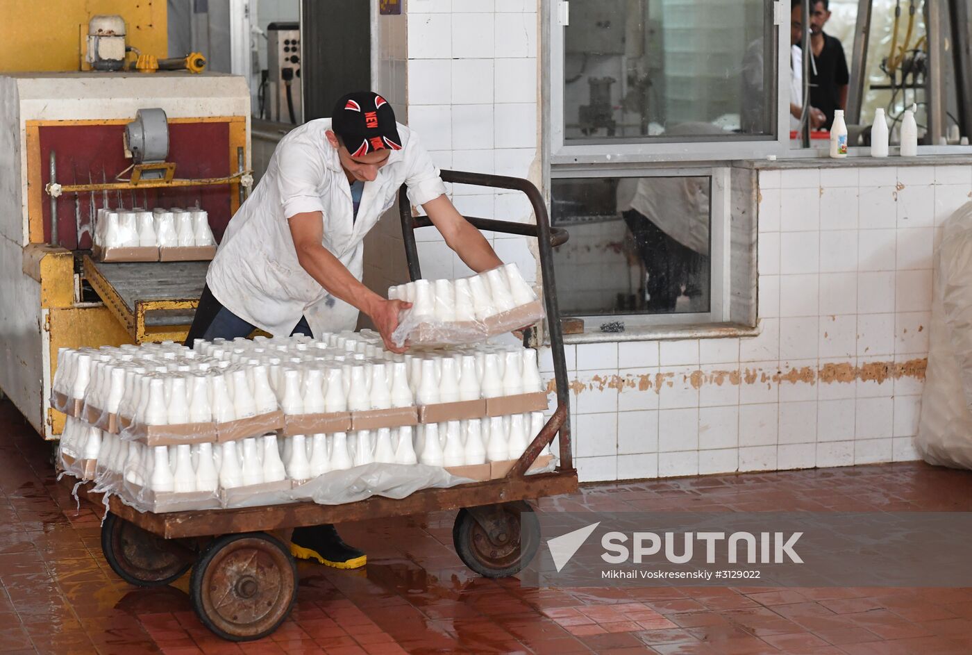 Dairy plant in Homs
