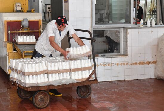 Dairy plant in Homs