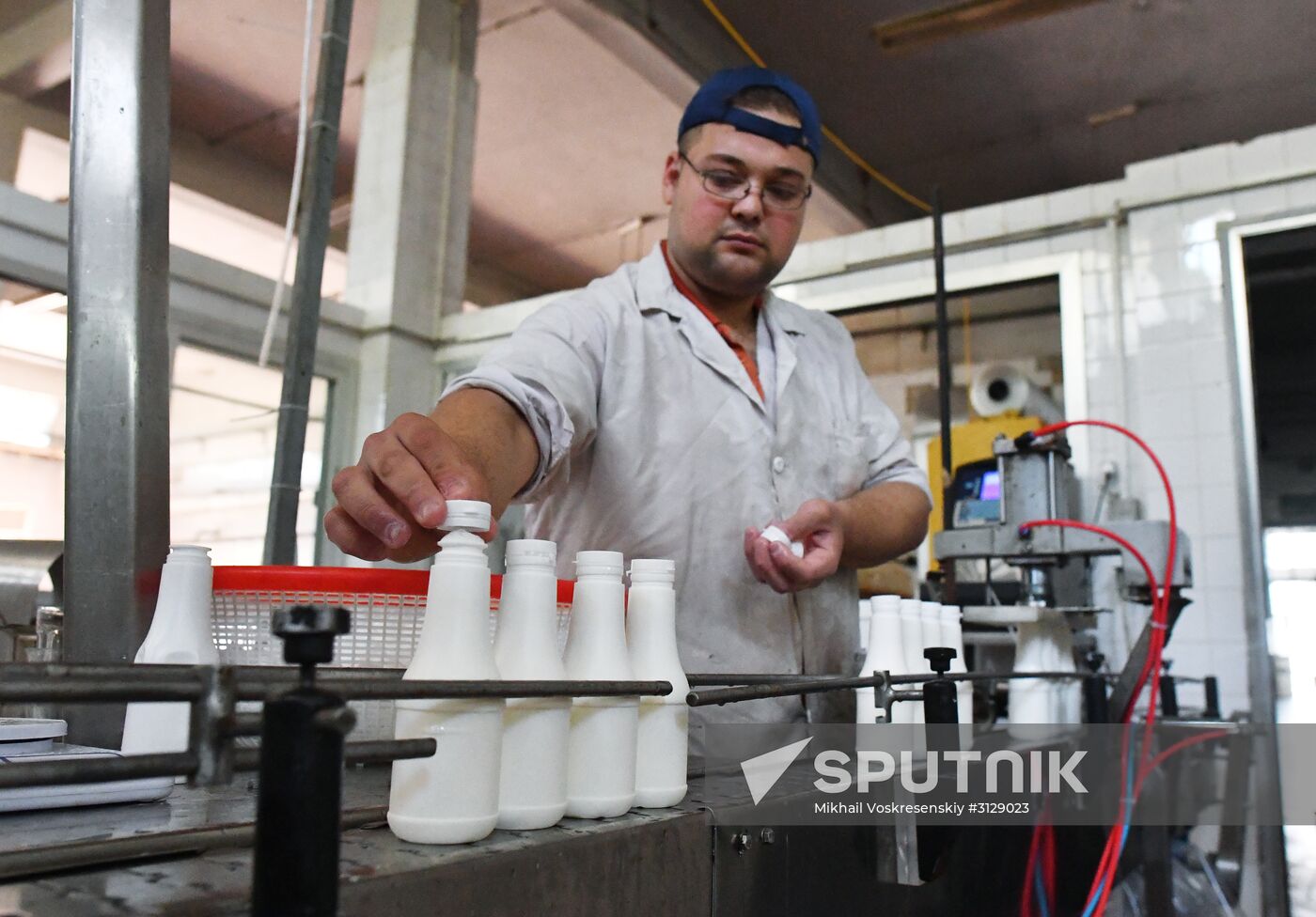 Dairy plant in Homs
