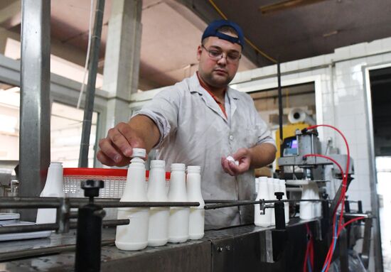 Dairy plant in Homs