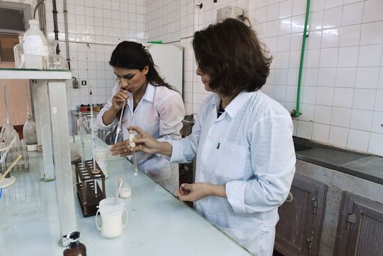 Dairy plant in Homs