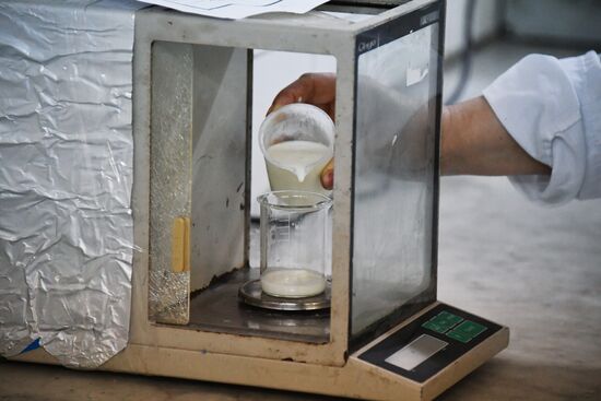 Dairy plant in Homs