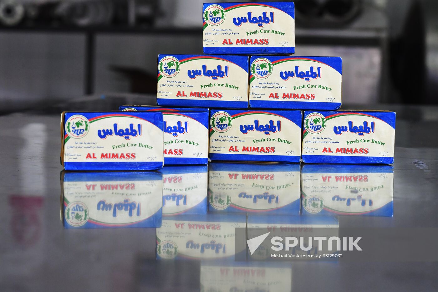 Dairy plant in Homs