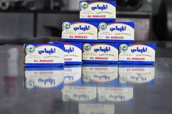Dairy plant in Homs