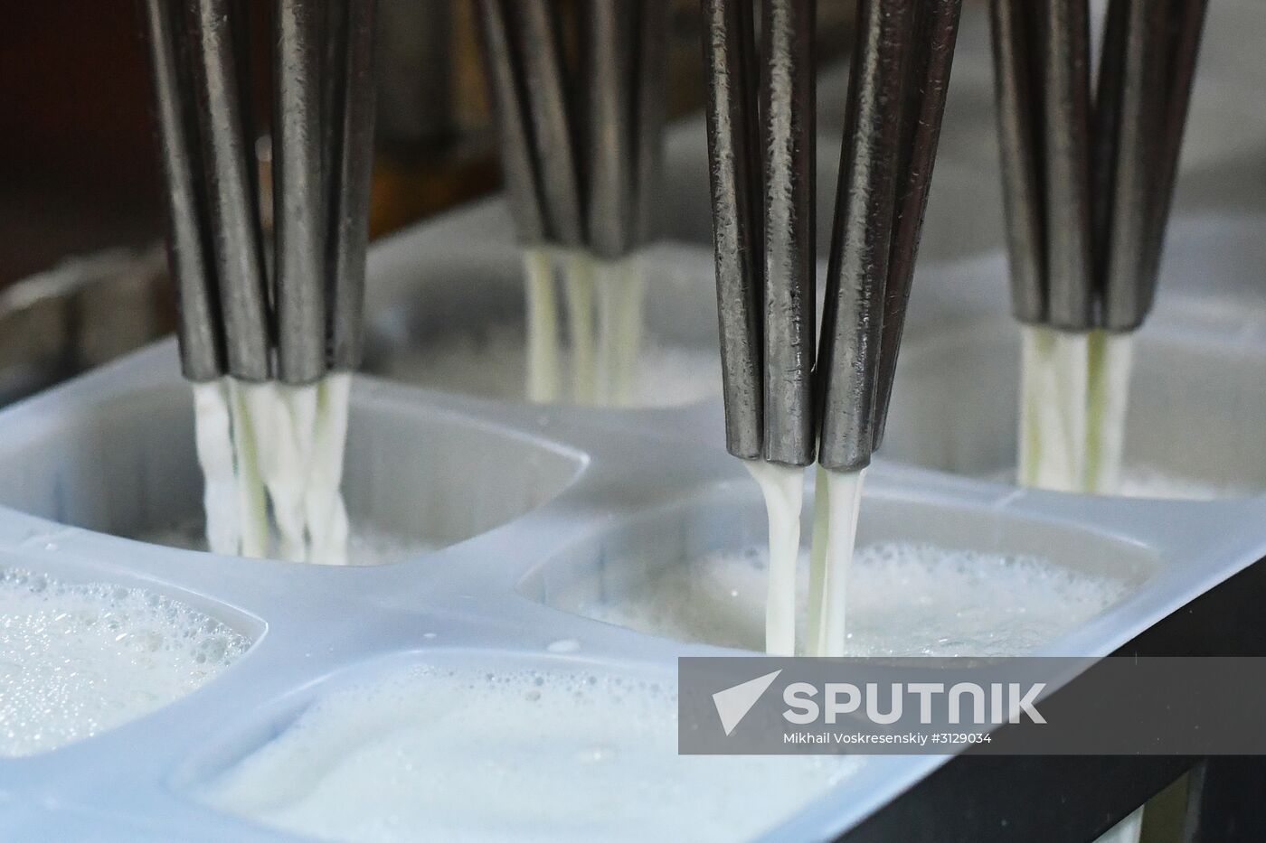 Dairy plant in Homs