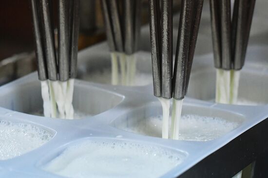 Dairy plant in Homs