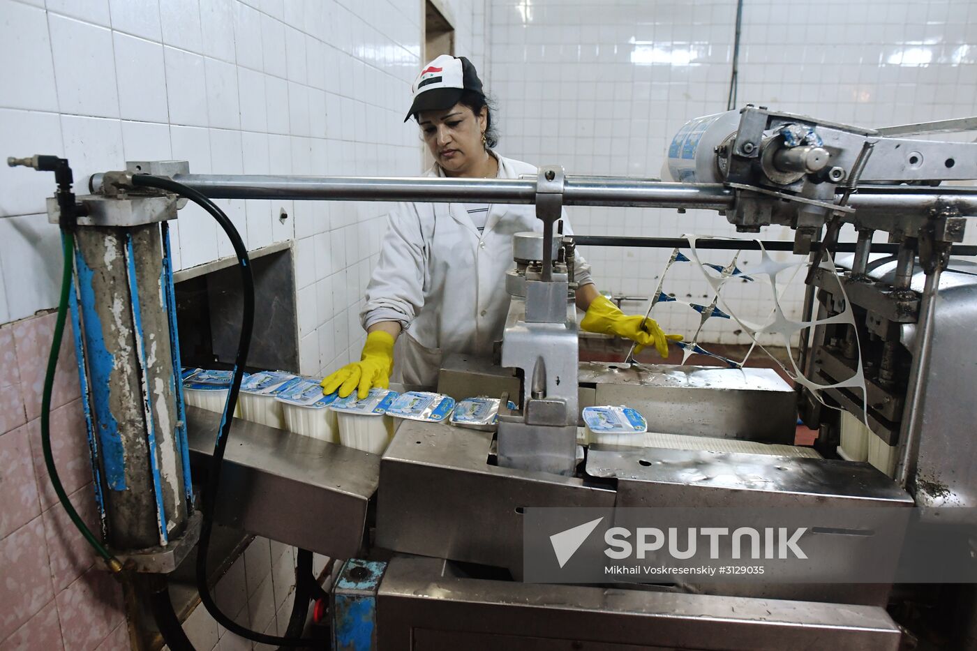 Dairy plant in Homs