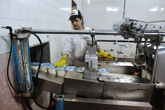 Dairy plant in Homs