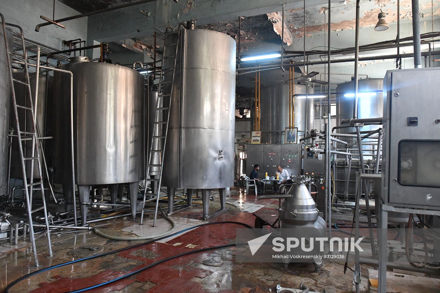Dairy plant in Homs