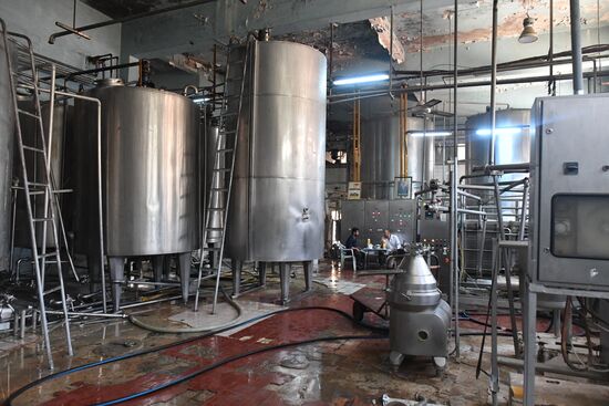 Dairy plant in Homs