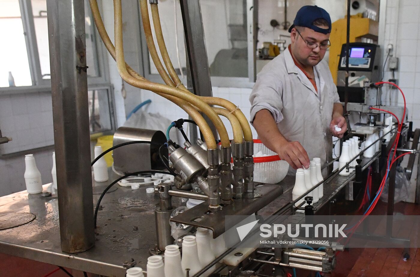 Dairy plant in Homs