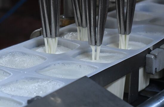 Dairy plant in Homs