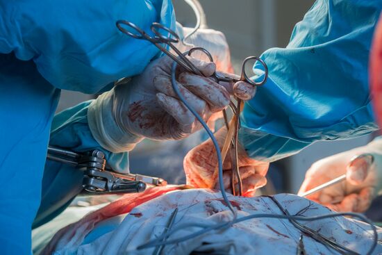 Surgergy at urology clinic