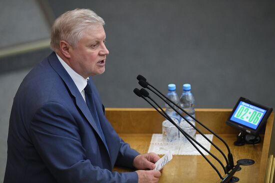State Duma plenary meeting