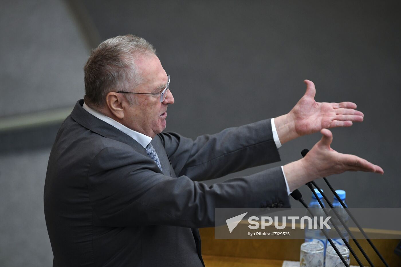 State Duma plenary meeting