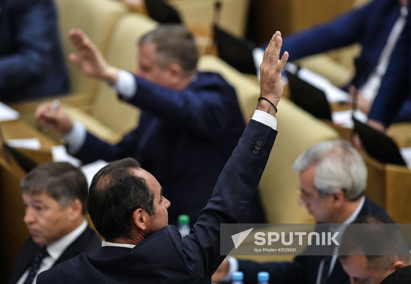 State Duma plenary meeting