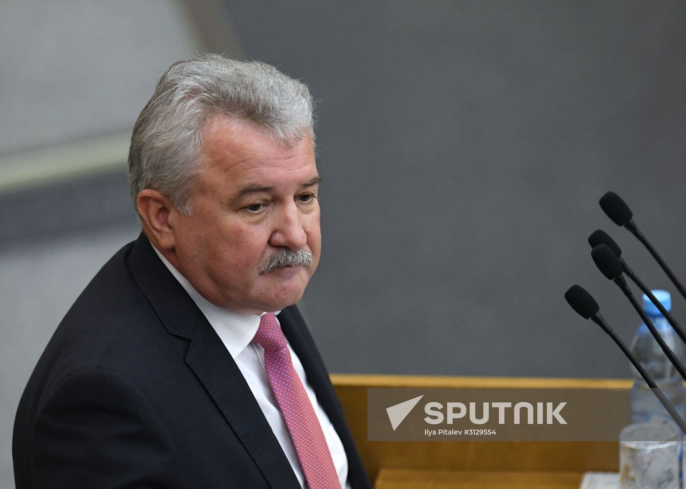 State Duma plenary meeting