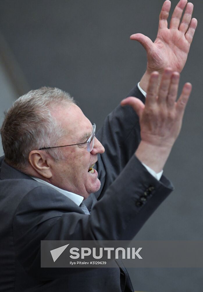 State Duma plenary meeting