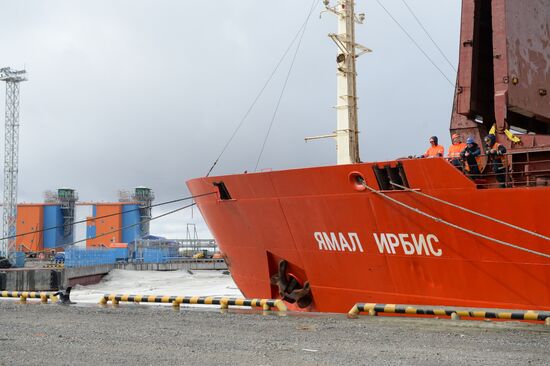Deputy Prime Minister Dmitry Rogozin's visit to Yamal