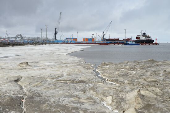 Deputy Prime Minister Dmitry Rogozin's visit to Yamal