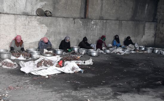 Private copper and aluminum processing plant in Homs suburbs
