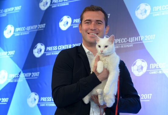 Achilles the cat to predict results of 2017 Confederations Cup matches