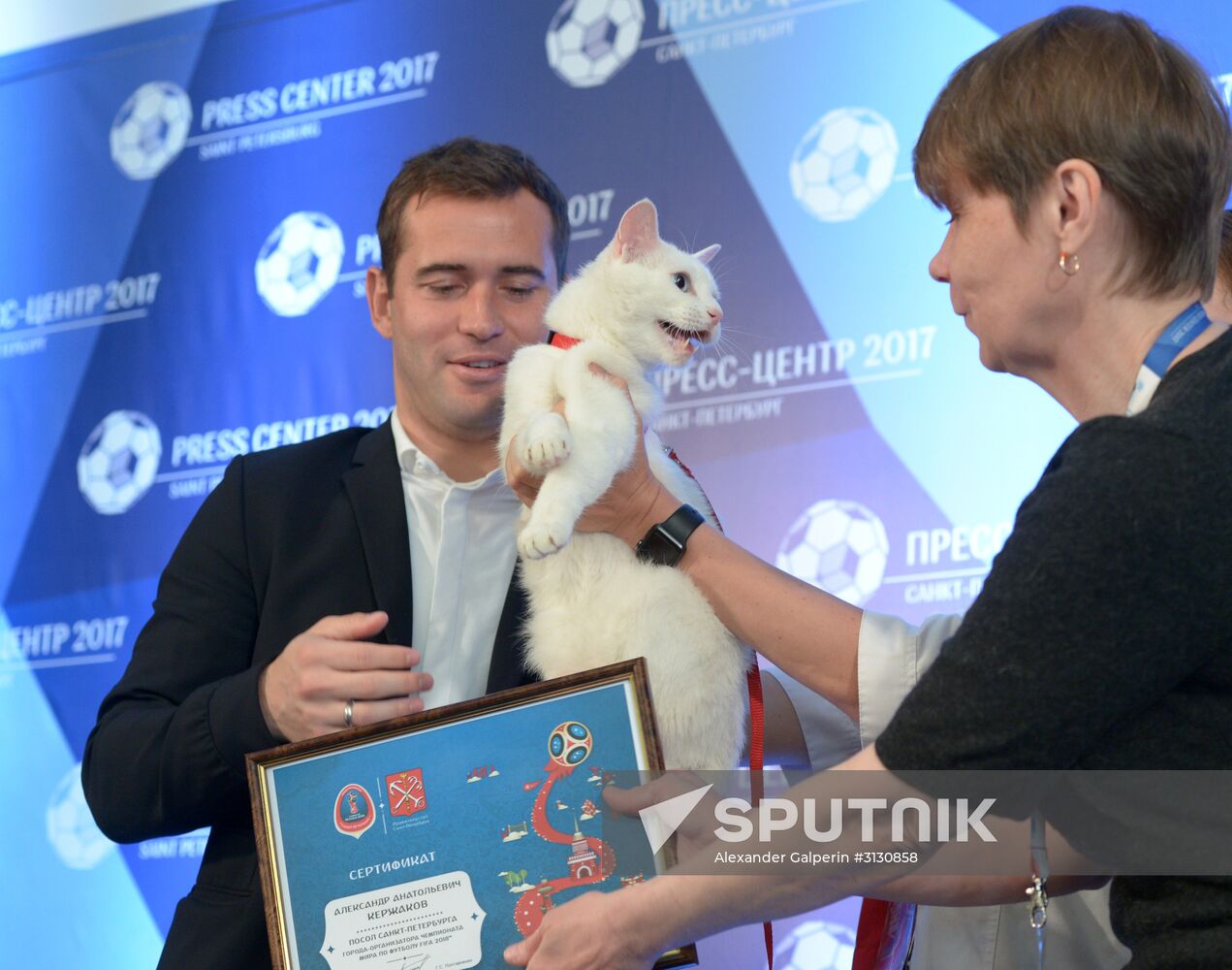 Achilles the cat to predict results of 2017 Confederations Cup matches