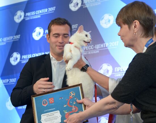 Achilles the cat to predict results of 2017 Confederations Cup matches