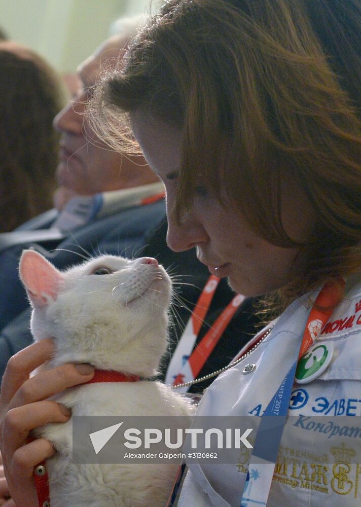 Achilles the cat to predict results of 2017 Confederations Cup matches
