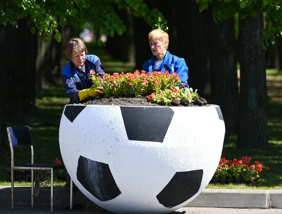 St. Petersburg prepares to host 2017 FIFA Confederations Cup