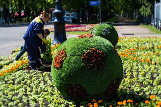 St. Petersburg prepares to host 2017 FIFA Confederations Cup
