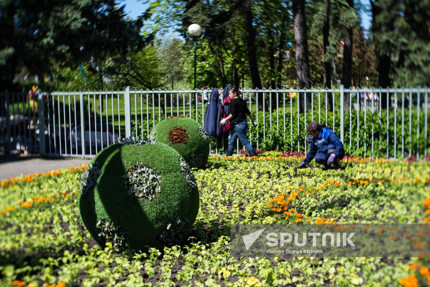 St. Petersburg prepares to host 2017 FIFA Confederations Cup