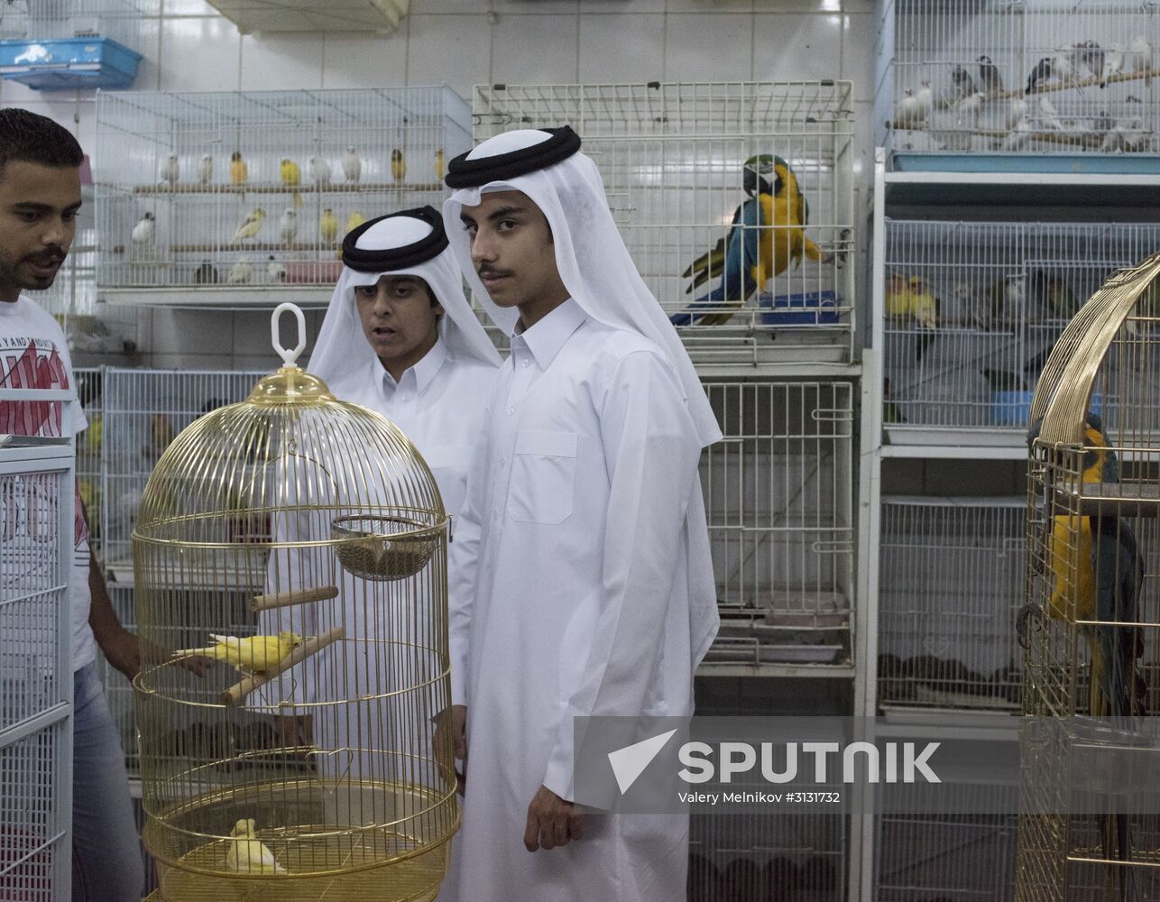 Countries of the world. Qatar