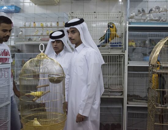 Countries of the world. Qatar