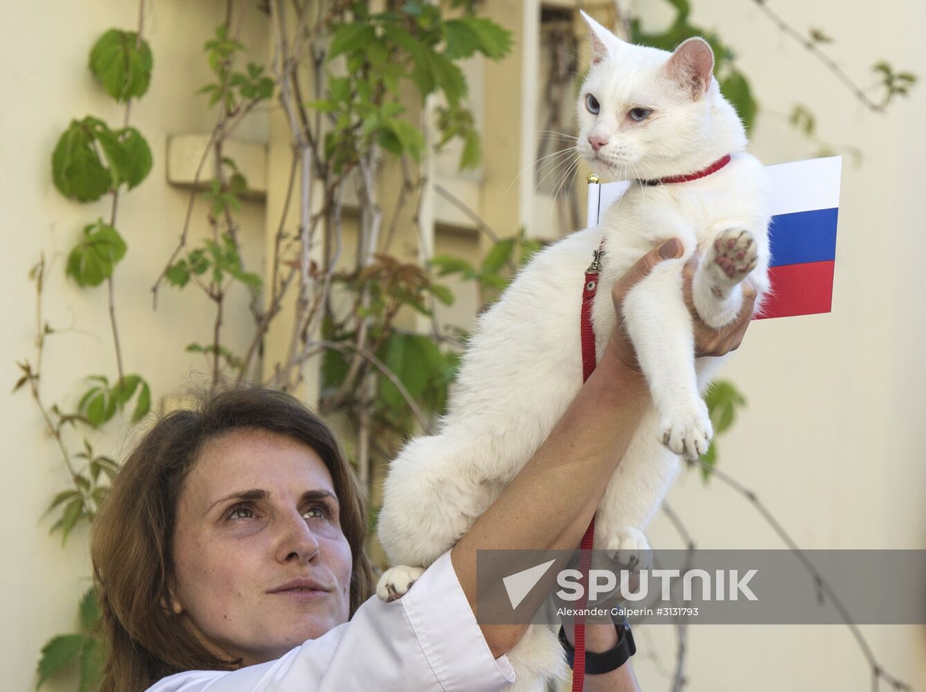 Oracle cat predicts Russia's victory in match against New Zealand