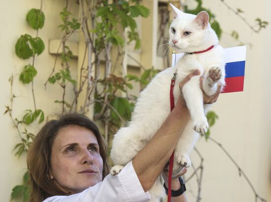 Oracle cat predicts Russia's victory in match against New Zealand