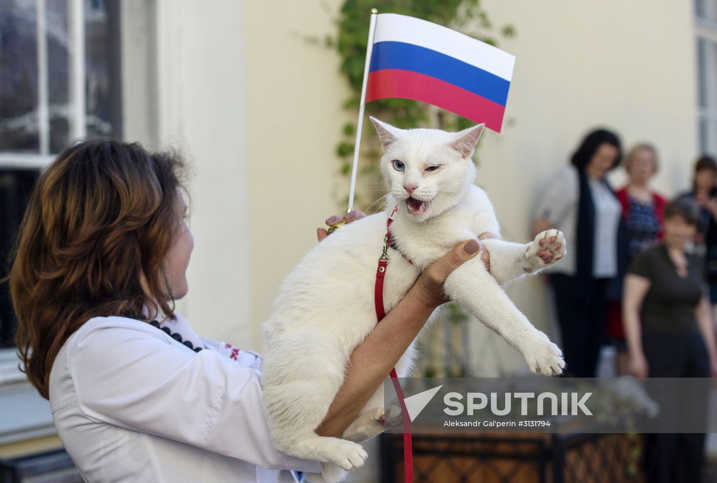Oracle cat predicts Russia's victory in match against New Zealand