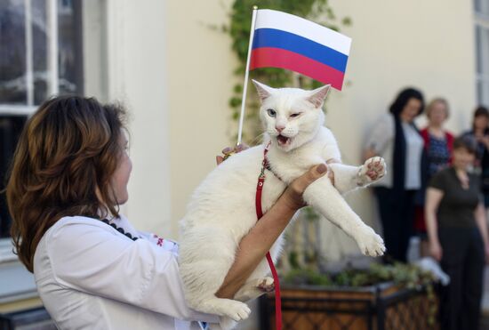 Oracle cat predicts Russia's victory in match against New Zealand