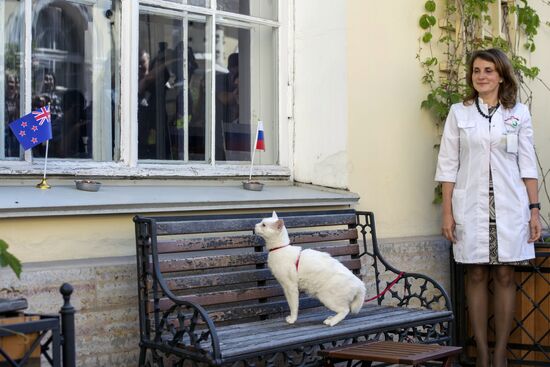 Oracle cat predicts Russia's victory in match against New Zealand