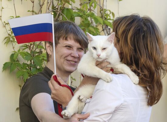 Oracle cat predicts Russia's victory in match against New Zealand