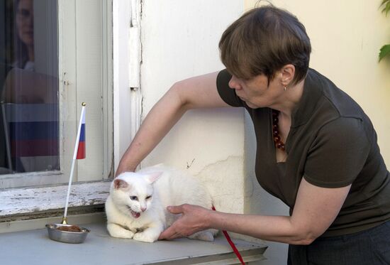 Oracle cat predicts Russia's victory in match against New Zealand