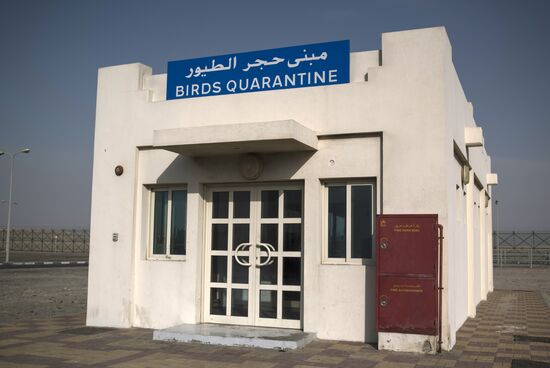 Developments at the Qatari-Saudi border