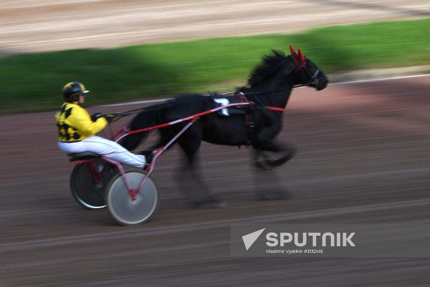 Radio Monte Carlo Grand Prix horse race