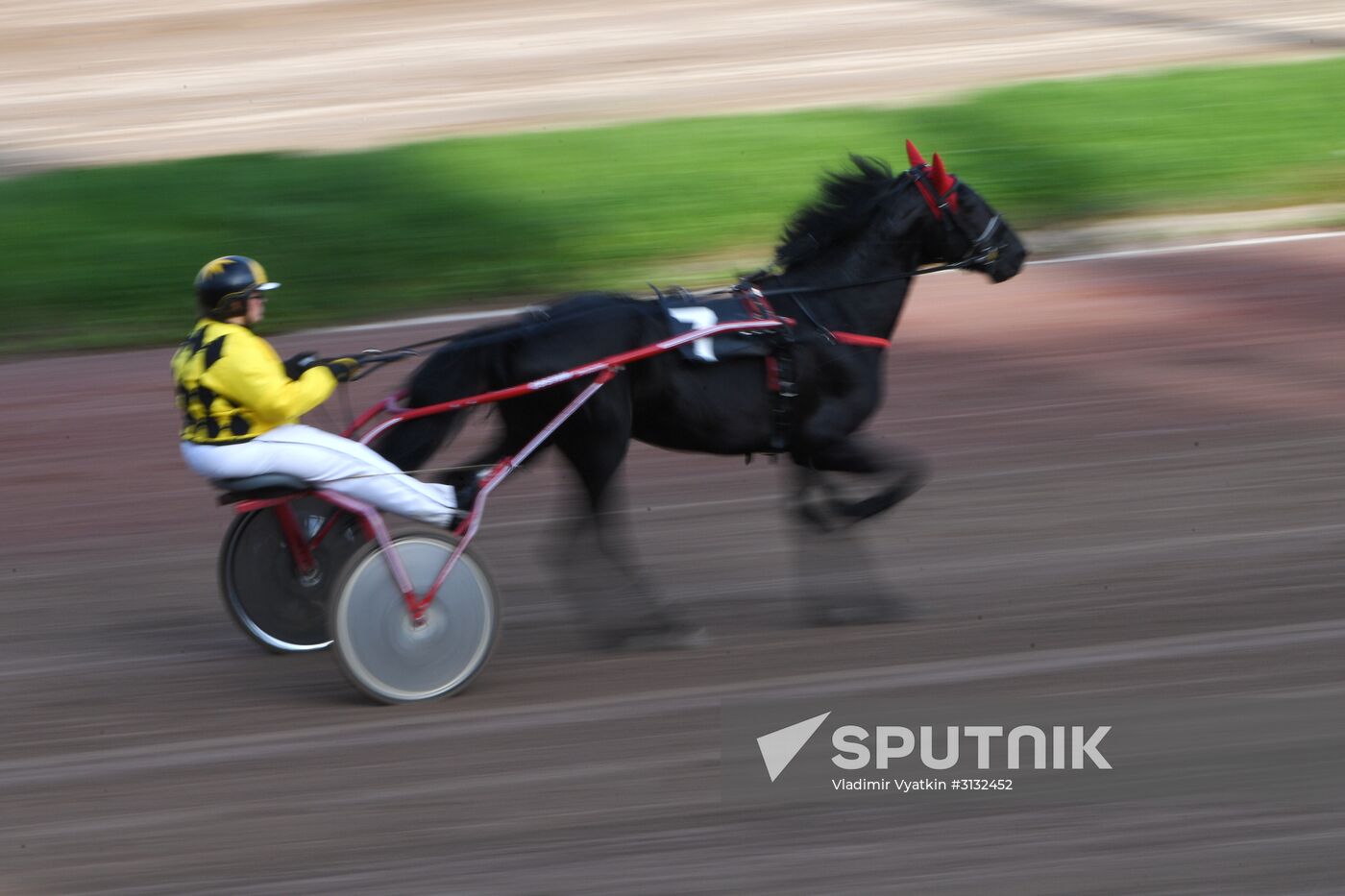 Radio Monte Carlo Grand Prix horse race